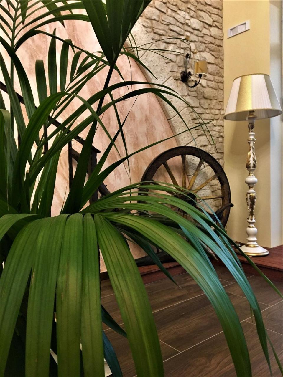 Hotel Zabbara 리카타 외부 사진